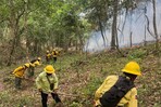 Reportan incendio forestal en Sierra de Bahoruco Reportan incendio forestal en Sierra de Bahoruco