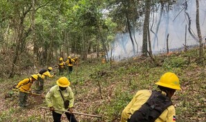Reportan incendio forestal en Sierra de Bahoruco