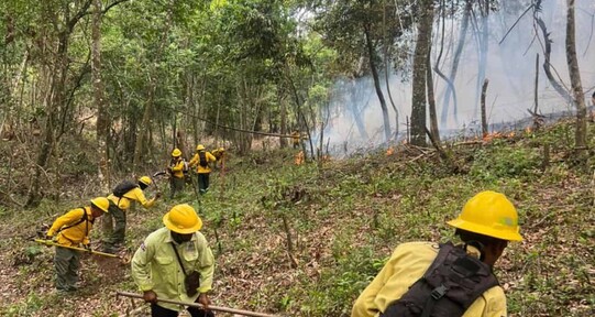 Reportan incendio forestal en Sierra de Bahoruco