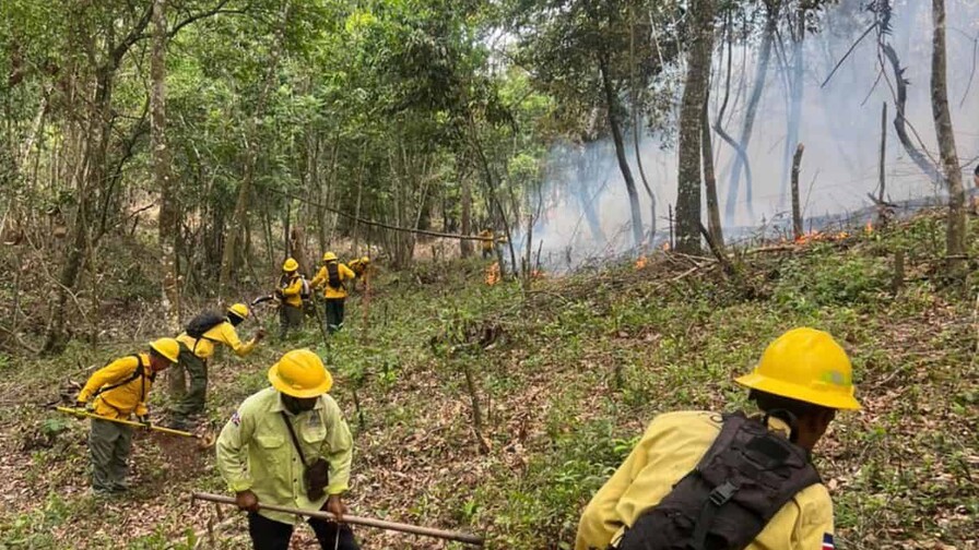 Reportan incendio forestal en Sierra de Bahoruco Reportan incendio forestal en Sierra de Bahoruco