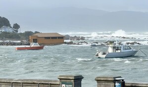 Evac&uacute;an a cientos de personas en la capital de Nueva Zelanda por olas de hasta once metros
