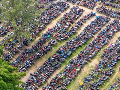 Licencia, seguro y matrícula: las claves para retirar motoci