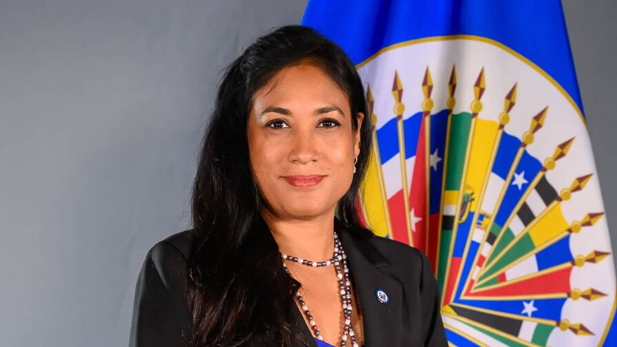 Jefa de gabinete del secretario general de la OEA deja cargo en medio de acusaciones de corrupci&oacute;n