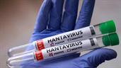 Reino Unido confirma un caso positivo de hantavirus en la remota isla de Trist&aacute;n de Acu&ntilde;a