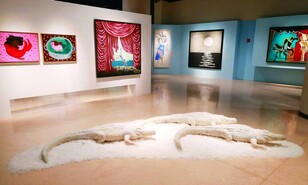 "El mar como territorio" re&uacute;ne a m&aacute;s de 40 artistas en el Centro Cultural Rainieri