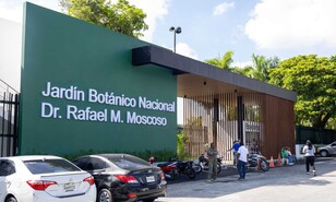 As&iacute; lucen las principales &aacute;reas del jard&iacute;n Bot&aacute;nico tras su remodelaci&oacute;n