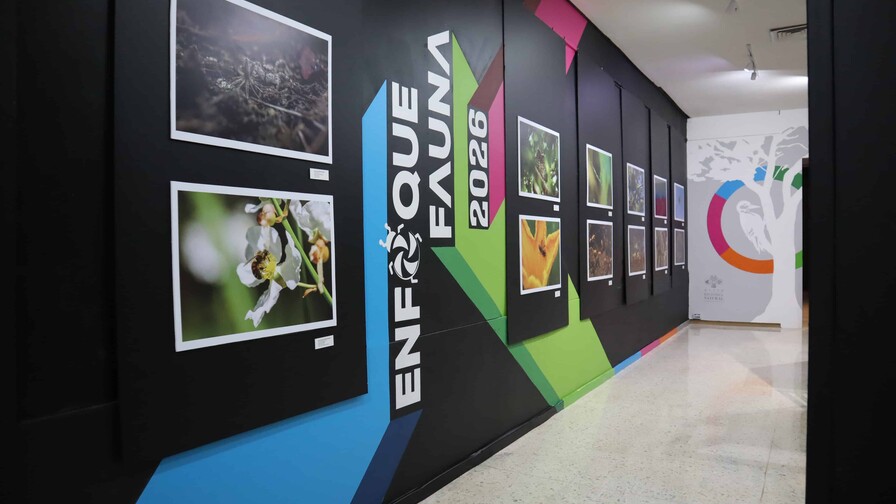 Enfoque Fauna vuelve al Museo de Historia Natural con una mirada joven a la biodiversidad