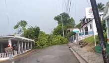 Loma de Cabrera reporta da&ntilde;os tras un tornado que derrib&oacute; &aacute;rboles