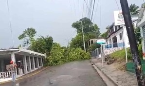 Loma de Cabrera reporta daños tras un tornado que derribó árboles