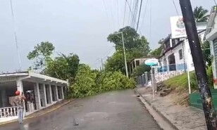 Loma de Cabrera reporta da&ntilde;os tras un tornado que derrib&oacute; &aacute;rboles