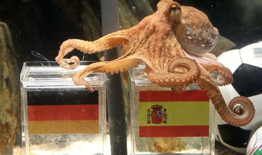 Del pulpo Paul a la Inteligencia Artificial: los chatbots revelan sus favoritos para el Mundial 2026