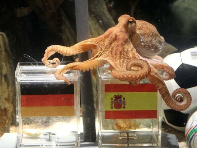 Del pulpo Paul a la inteligencia Artificial en los mundiales