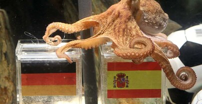 Del pulpo Paul a la Inteligencia Artificial: los chatbots revelan sus favoritos para el Mundial 2026