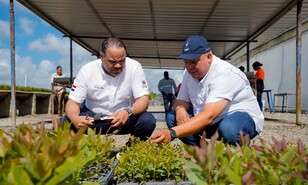 El bosque que produce energ&iacute;a