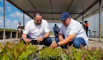 El bosque que produce energ&iacute;a
