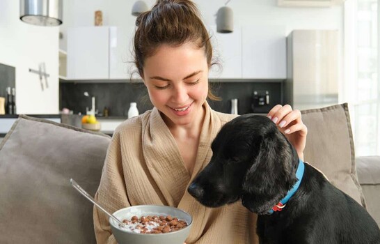 &iquest;Sabes cu&aacute;l es el  impacto de  la comida de los humanos a las mascotas?
