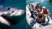 Un tibur&oacute;n ataca a una turista australiana en una pierna en las islas Gal&aacute;pagos de Ecuador