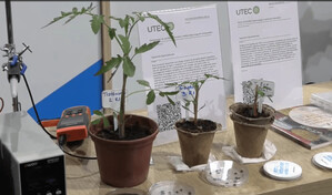 Uruguay desarrolla tecnolog&iacute;a magn&eacute;tica pionera que acelera la germinaci&oacute;n de semillas