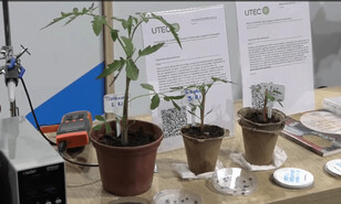 Uruguay desarrolla tecnolog&iacute;a magn&eacute;tica pionera que acelera la germinaci&oacute;n de semillas