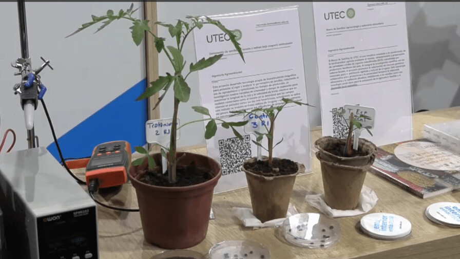 Uruguay desarrolla tecnología magnética pionera que acelera la germinación de semillas