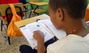 La lectura de cara a la reforma educativa