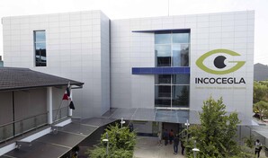 Tres d&eacute;cadas devolviendo la vista: la historia de Incocegla y su apuesta por los m&aacute;s vulnerables