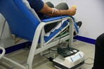 Testigos de Jehová podrán donar y recibir componentes de la sangre por decisión personal