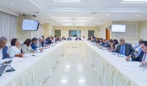 Comisi&oacute;n de legisladores que estudia plan fiscal citar&aacute; a Mag&iacute;n D&iacute;az y a la AIRD para avanzar proyecto