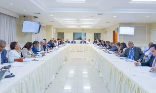 Comisi&oacute;n de legisladores que estudia plan fiscal citar&aacute; a Mag&iacute;n D&iacute;az y a la AIRD para avanzar proyecto