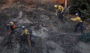 Un incendio forestal en Riverside, California, quema m&aacute;s de 809 hect&aacute;reas