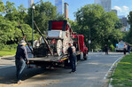 Joven queda en estado crítico tras desbocarse un carruaje de caballos en Central Park