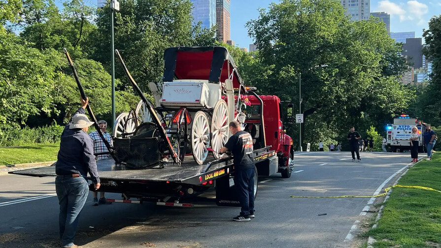 Joven queda en estado crítico tras desbocarse un carruaje de caballos en Central Park Joven queda en estado crítico tras desbocarse un carruaje de caballos en Central Park