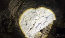 Ley obligar&iacute;a a destinar fondos p&uacute;blicos para proteger y promover Cuevas del Pomier