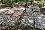 El Ej&eacute;rcito de Nicaragua incauta 475 paquetes de coca&iacute;na cerca de frontera con Costa Rica