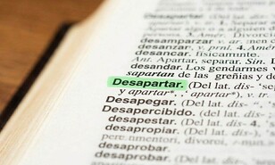 La fuerza del uso en la expresi&oacute;n ling&uuml;&iacute;stica