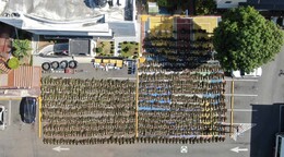 Desmantelan otra plantaci&oacute;n de marihuana en San Jos&eacute; de Ocoa; la mayor hasta ahora en el pa&iacute;s
