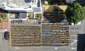 Desmantelan otra plantaci&oacute;n de marihuana en San Jos&eacute; de Ocoa; la mayor hasta ahora en el pa&iacute;s
