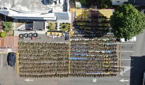Desmantelan otra plantaci&oacute;n de marihuana en San Jos&eacute; de Ocoa; la mayor hasta ahora en el pa&iacute;s