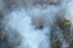 Medio Ambiente intensifica combate de incendio forestal en la Sierra de Bahoruco Medio Ambiente intensifica combate de incendio forestal en la Sierra de Bahoruco