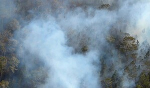 Medio Ambiente intensifica combate de incendio forestal en la Sierra de Bahoruco
