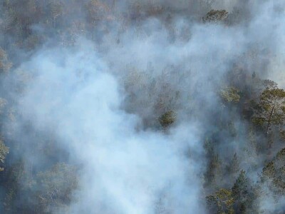 Medio Ambiente combate incendio forestal en la Sierra de Bahoruco