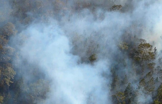 Medio Ambiente intensifica combate de incendio forestal en la Sierra de Bahoruco