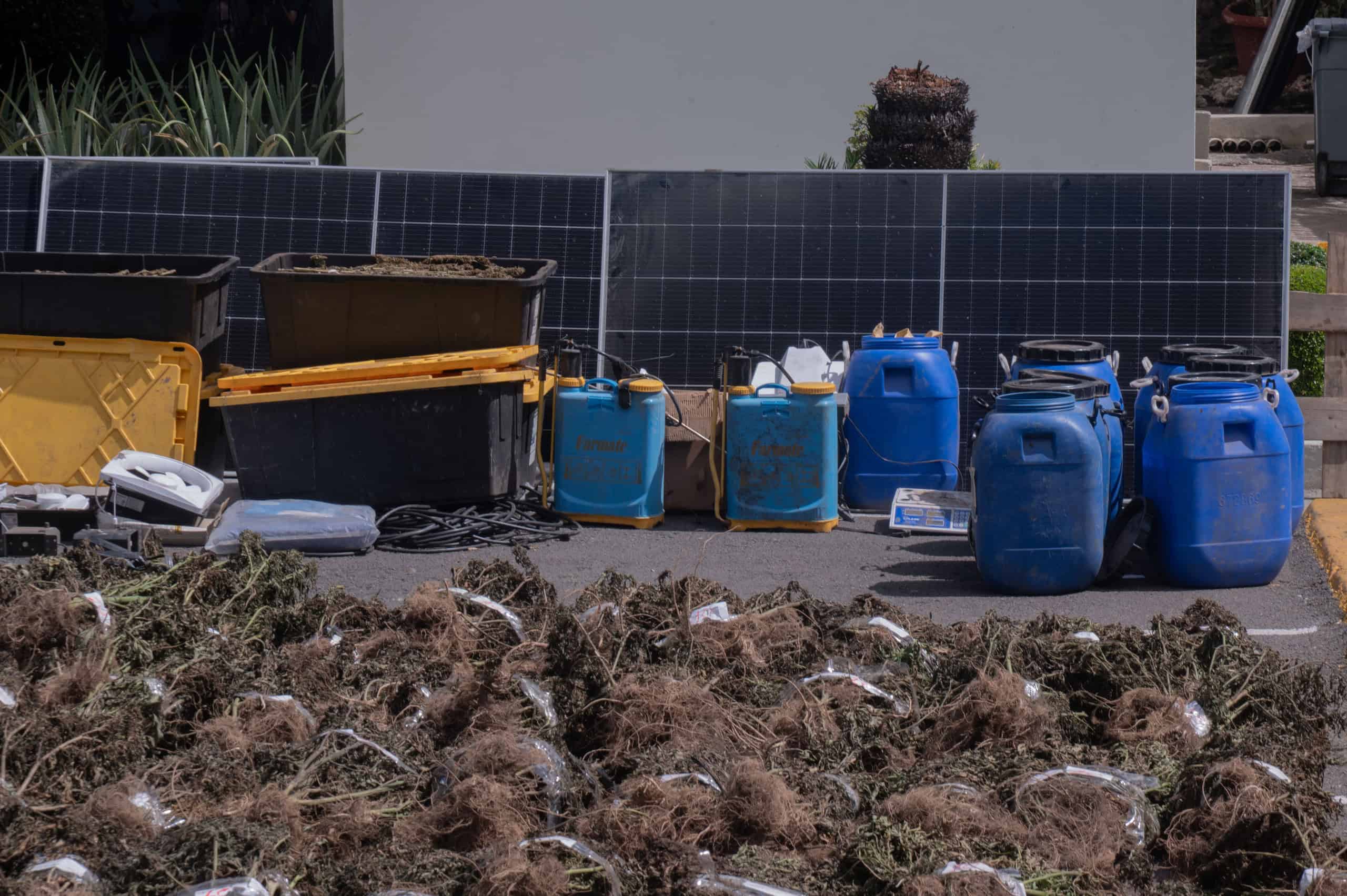 Dentro del centro de acopio que desmantelaron, se ocuparon 17 garrafones y varias cajas con marihuana, así como trituradoras, tanques, fertilizantes, paneles solares, una prensa hidráulica, balanzas, bombas de fumigación y otros equipos utilizados por la estructura criminal.