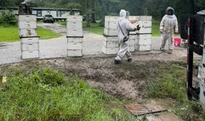 Millones de abejas escapan tras accidente de un cami&oacute;n y movilizan a apicultores en Texas