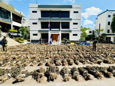 Incautación de marihuana en RD supera 13,800 libras