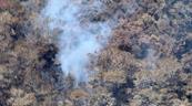 Incendio en Sierra de Bahoruco afecta m&aacute;s de 1,200 hect&aacute;reas