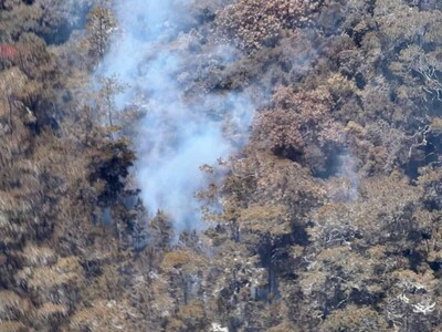Incendio en Sierra de Bahoruco afecta 12.2 kilómetros cuadrados