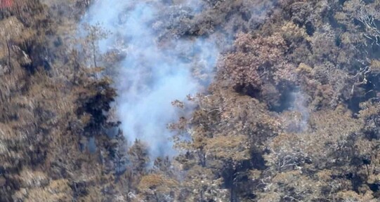 Incendio en Sierra de Bahoruco afecta m&aacute;s de 1,200 hect&aacute;reas