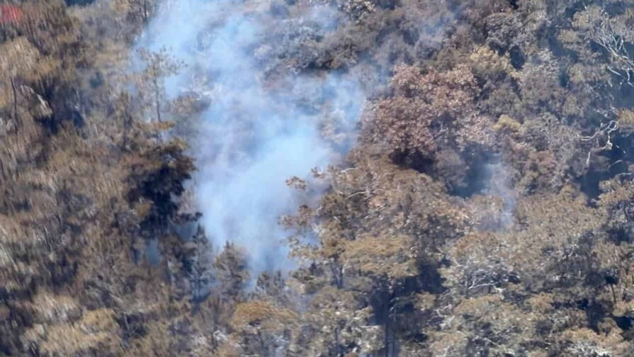 Incendio en Sierra de Bahoruco afecta más de 1,200 hectáreas Incendio en Sierra de Bahoruco afecta más de 1,200 hectáreas