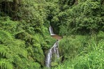 Advierten que el capital natural dominicano sigue subvalorado